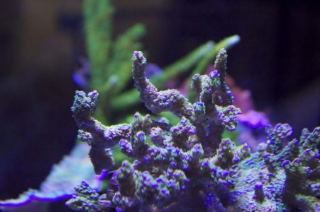 IMG_0373.jpg