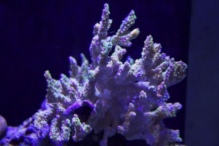 IMG_0374.jpg