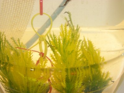Update pics. 10-18-11 006.JPG