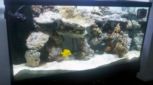 2011-09-25_19-11-03_687.jpg