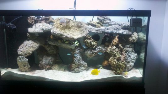 2011-09-25_19-11-12_569.jpg