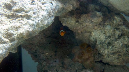 2011-09-25_19-11-19_671.jpg