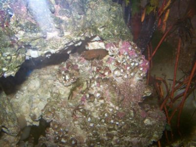 Update pics. 10-18-11 015.jpg