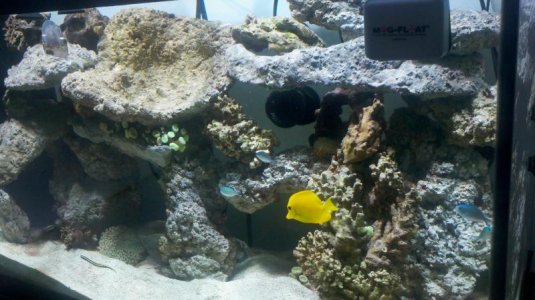 2011-09-25_19-10-44_976.jpg