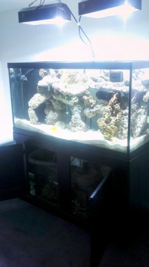 2011-09-25_19-10-32_515.jpg