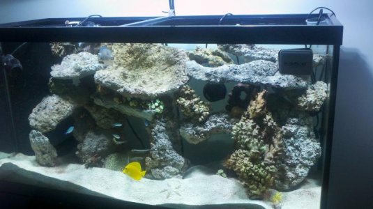2011-09-25_19-10-20_406.jpg