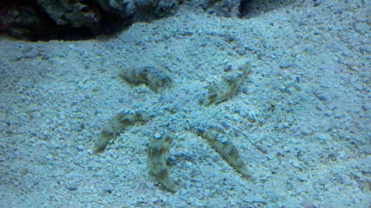 2011-09-25_19-09-50_249.jpg