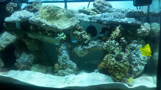 2011-09-25_19-09-29_531.jpg