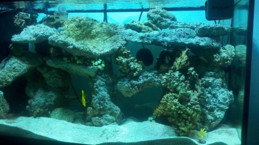 2011-09-25_19-09-22_190.jpg