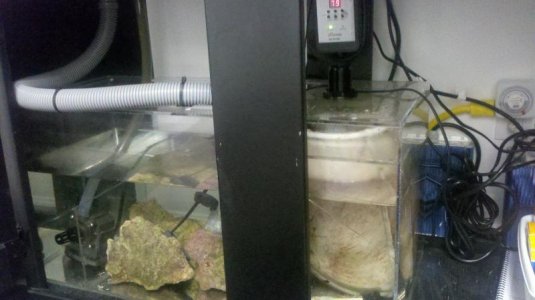 2011-09-25_19-08-35_24.jpg