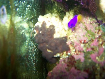 Update pics. 10-18-11 025.JPG