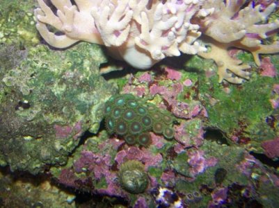 Update pics. 10-18-11 035.jpg