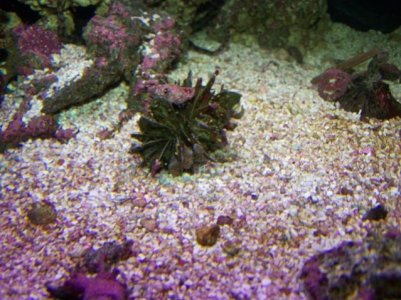 Update pics. 10-18-11 044.jpg