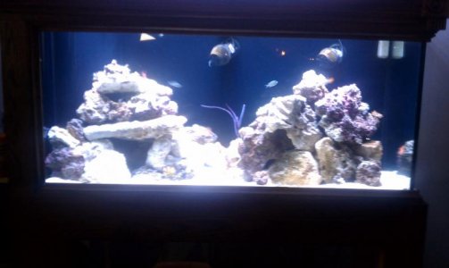 IMAG0291.jpg