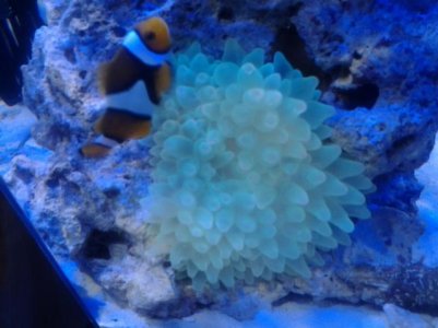 2011-10-13 15.24.41.jpg