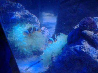 2011-10-12 23.31.07.jpg