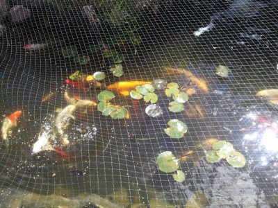 2011-09-24 13.18.40(1).jpg