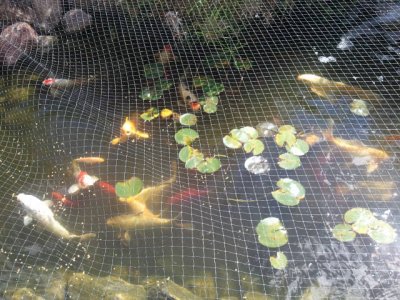 2011-09-24 13.18.42(1).jpg