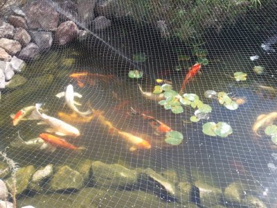 2011-09-24 13.19.31(1).jpg