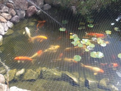 2011-09-24 13.19.34(1).jpg