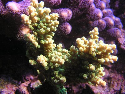 P1010121.jpg