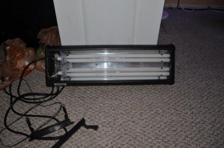 scolley light.jpg