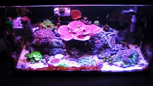 10g 100211 011.jpg
