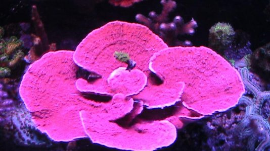 10g 100211 013.jpg