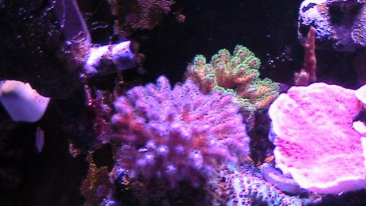10g 100211 015.jpg