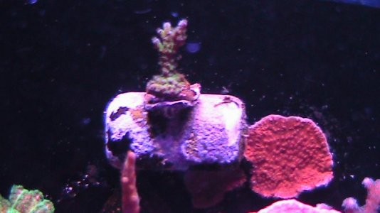 10g 100211 014.jpg