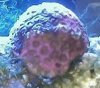 2011-10-02 23-10-09.037.jpg