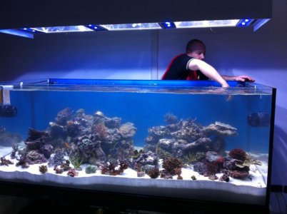 54 - moving corals.jpg
