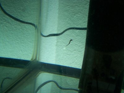new babys 020.JPG