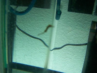 new babys 021.jpg