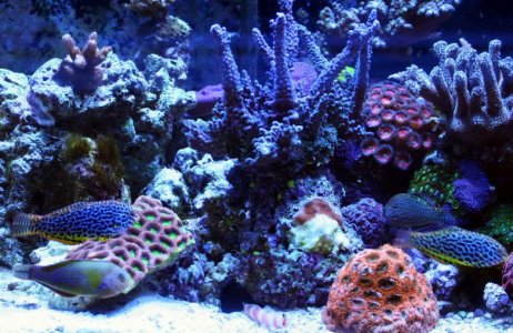 IMG_3234_resize.jpg