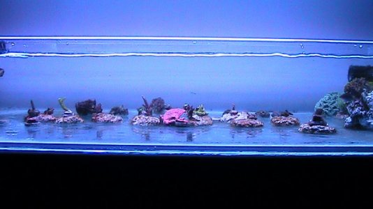 35g 10 02 11 002.jpg