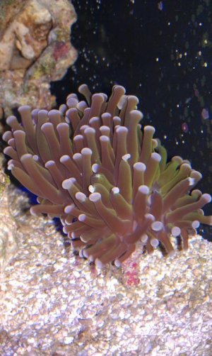 IMAG0181.jpg