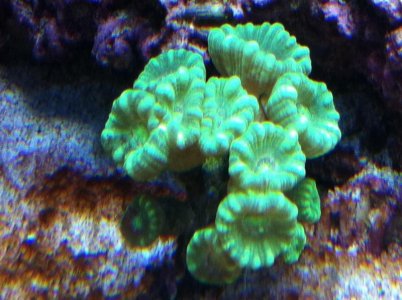 IMG_1180.jpg