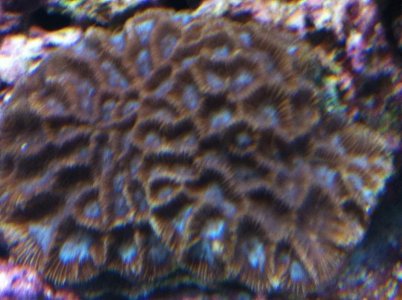 IMG_1179.jpg