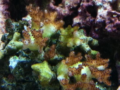 IMG_1174.jpg