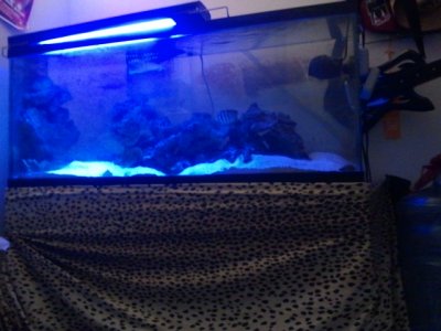 2011-10-24 22_10_46.jpg