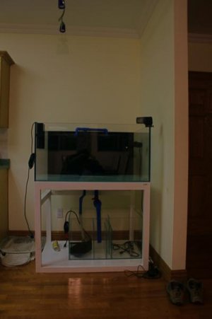 tank4.jpg