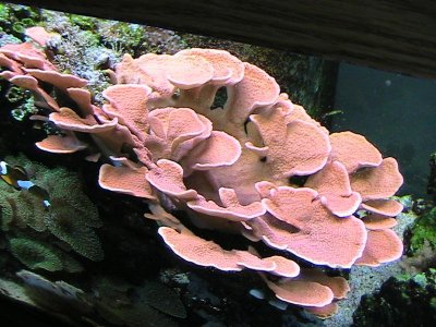 IMG_0958.jpg