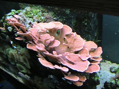 IMG_0959.jpg