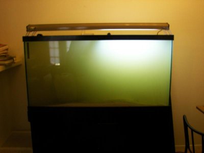 FTS 90 07-12.jpg