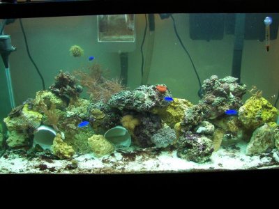 FTS 10-1-09.jpg