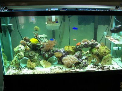 FTS 10-22-09.jpg