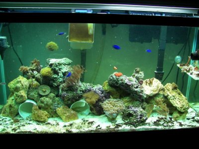 FTS 11-02-09.jpg