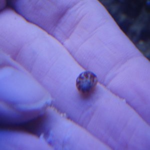 snailside.jpg