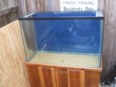 DSCF2576.jpg